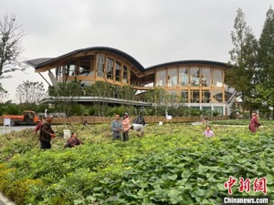 （高质量发展调研行）推动全面乡村振兴 四川打造新时代更高水平“天府粮仓”