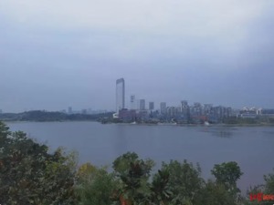 高质量发展调研行｜走进成都兴隆湖，感受城市里的诗和远方