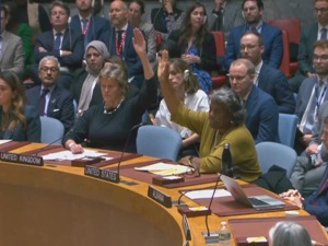 安理会上，美国一票否决！中方表态：震惊和失望，难以置信！这国总统：反对和遗憾