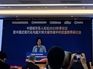 北大副教授仝德：深圳住房结构从“金字塔”向“纺锤型”转变，有三条可能实现路径