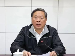 张秀隆被查！