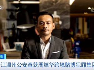 “洗米华”案最新进展！裁定诈骗罪名不成立，维持判监18年，支付255亿港元