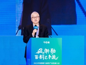 中华人寿孙玉淳：中小寿险公司应围绕三大经营目标来布局康养产业