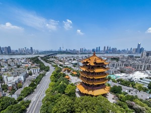 看，一条洄游1400公里的刀鲚