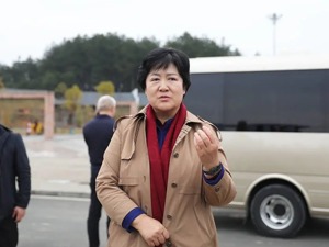 陈丽萍被查！