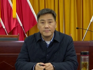吴斌被查！