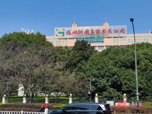 钢铁行业盈利能力下滑 杭钢股份相关负责人：以数字经济“平滑”钢铁周期