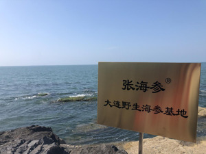 “张海参”被列入国家重点研发计划 坚持科研创新破除传统弊端