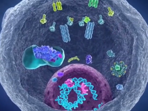 重大突破！科学家找到癌细胞的生死开关！可激活释放自毁信号……