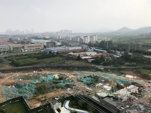 同比增长超3成，法拍房数量再创新高，从业人员激增，成交情况如何了？