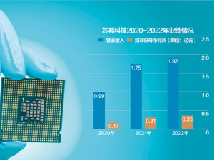 芯邦科技终止科创板IPO 去年业绩增速明显放缓