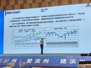 冶金工业经济发展研究中心副主任郑玉春：钢铁产能治理面临新的挑战，兼并重组是市场倒逼的结果