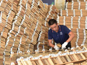 这一概念股为何大涨？多部门出台文件推动“以竹代塑”，支持主要竹产区培育一批龙头企业