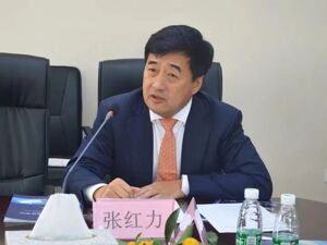 重磅！张红力被查