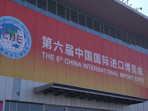 聚焦进博会，发掘新机遇
