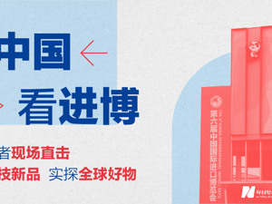 在中国 看进博丨关注第六届进博会