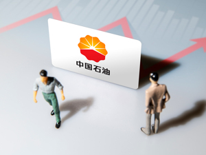 国内首家合资财险51%股权被挂牌！中油资本拟退出股东行列