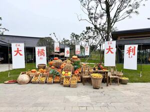 成都金堂乡村振兴田园综合体“中国橘乡·天府城市果园”正式开业