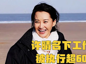啥情况？许晴独资工作室被执行624万元！