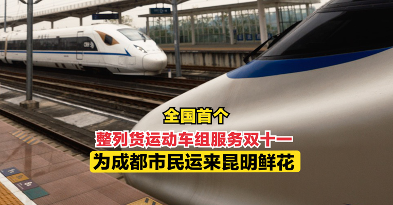 全国首个整列货运动车组服务双十一 为成都市民运来昆明鲜花