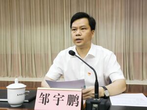 邹宇鹏被查！