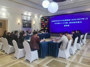 成都的科幻产业将如何描绘？这场座谈会上，代表委员们谈感受、提建议