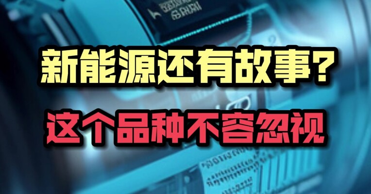 新能源还有故事？这个品种不容忽视