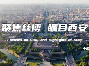 西安：丝博联通世界，共享发展机遇