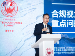 中国银行业协会原首席法律顾问、中国仲裁法学研究会金融专委会主任卜祥瑞：上市公司融资要符合5个方面内容