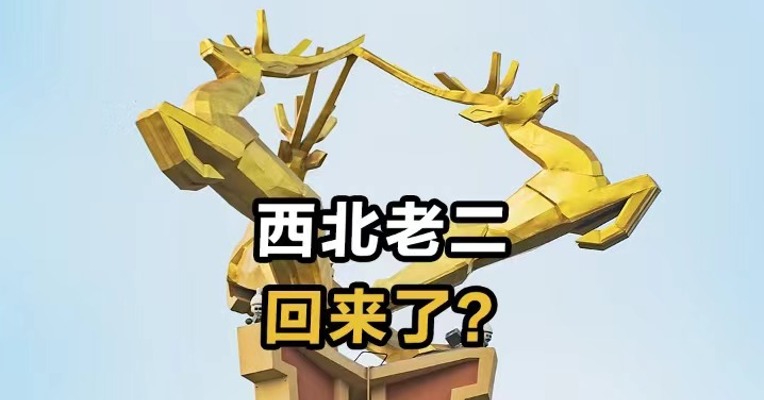 西北老二回来了？