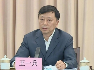 王一兵、赵家鹏、王福亮、杨峰被“双开”！李绍康被开除党籍