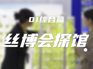 第七届丝博会探馆视频之综合篇