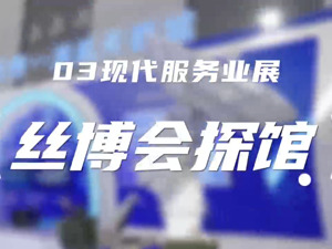 第七届丝博会探馆视频之现代服务业馆