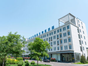 石家庄“蝶变”展新姿