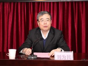 刘为民被开除党籍！2个月前主动投案