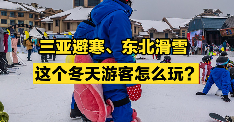三亚避寒、东北滑雪......这个冬天游客怎么玩？
