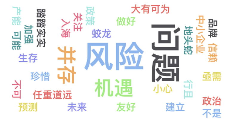 30位出海从业者心声：“出海”大有可为任重道远