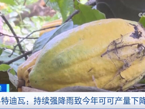 价格飙升，创45年新高！这种农作物一吨2.9万元！啥情况？