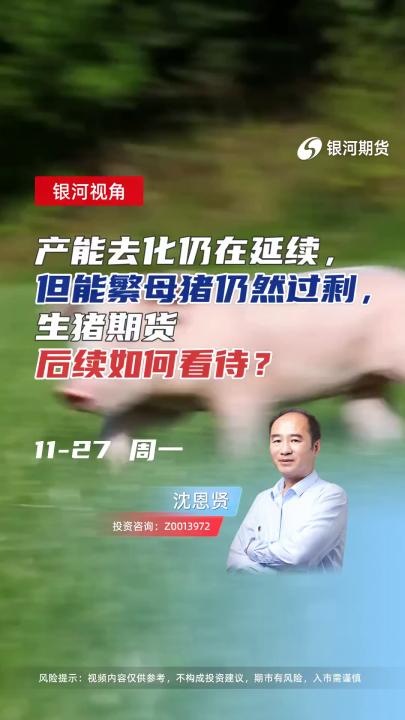 产能去化仍在延续，但能繁母猪仍然过剩，生猪期货后续如何看待？#期货 #农业 #经济