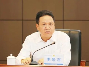 李景言，被双开