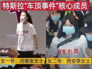 女车主被判赔2000元，特斯拉最新发声：事件造成上亿损失，将上诉……