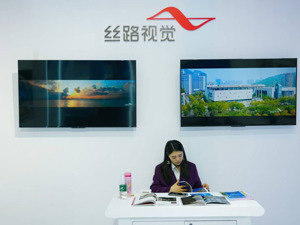 丝路视觉收深交所关注函 需说明交易定价是否公允等问题