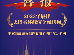 支持实体经济发展，服务小微企业融资！平安普惠获“2023年最佳支持实体经济金融机构