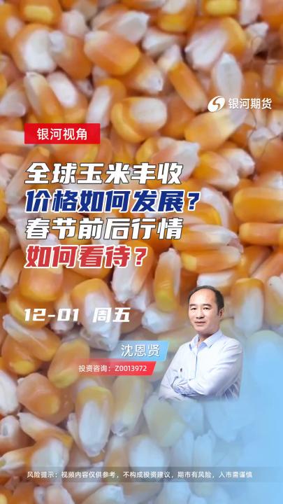 全球玉米丰收，价格如何发展？春节前后行情如何看待？#期货 #期权 #农业