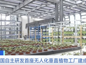 世界首例！我国自主研发！在20层“高楼”里种菜