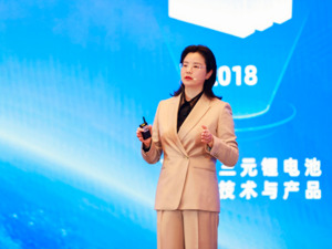 董事长年薪超2200万元？锂电巨头回应！中国科学院院士曾称赞：她是一位卓越企业家