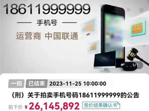 “999999”手机号被拍出2614万！买家：拍错了……