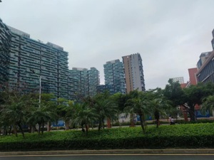 10月9万/平，11月20万/平，近5万人围观，深圳豪宅法拍市场又热闹起来了？