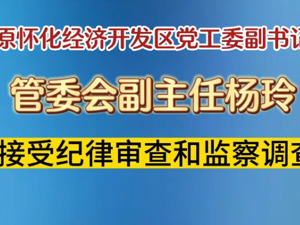 杨玲被开除党籍！与他人长期保持不正当性关系，受贿数额特别巨大！