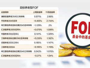 11月股票型FOF“回血”乏力